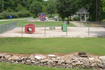 Dog Park